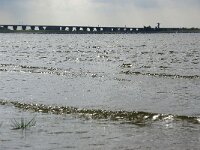 NL, Zeeland, Schouwen-Duiveland, Grevelingen 2, Foto Fitis-Sytske Dijksen