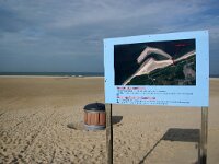 NL, Zeeland, Schouwen-Duiveland, Verklikkerstrand 1, Saxifraga-Foto Fitis-Sytske Dijksen