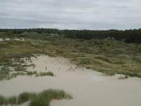 NL, Zeeland, Schouwen-Duiveland, Westenschouwen 2, Saxifraga-Willem van Kruijsbergen