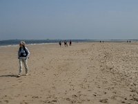 NL, Zeeland, Schouwen-Duiveland, Zeerust 2, Saxifraga-Jan van der Straaten