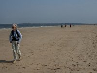 NL, Zeeland, Schouwen-Duiveland, Zeerust 3, Saxifraga-Jan van der Straaten