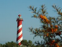 NL, Zeeland, Schouwen-Duiveland, vuurtoren Haamstede 1, Saxifraga-Foto Fitis-Sytske Dijksen