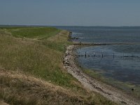 NL, Zuid-Holland, Goeree-Overflakkee, Oudelandse Zeedijk 1, Saxifraga-Jan van der Straaten