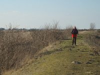 NL, Zuid-Holland, Korendijk, Tiengemeten, Blanken Slikken 3, Saxifraga-Jan van der Straaten