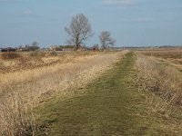 NL, Zuid-Holland, Korendijk, Tiengemeten, Mariapolder 2, Saxifraga-Jan van der Straaten