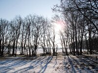 NL, Zuid-Holland, Noordwijk, Amsterdamse Waterleidingduinen 1, Saxifraga-Bart Vastenhouw