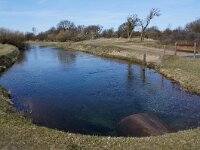 NL, Zuid-Holland, Noordwijk, Amsterdamse Waterleidingduinen 7, Saxifraga-Foto Fitis-Sytske Dijksen