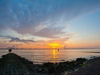 NL, Zuid-Holland, Rotterdam, Hoek van Holland 4, Saxifraga-Bart Vastenhouw