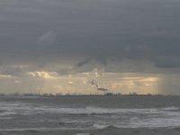 NL, Zuid-Holland, Rotterdam, Maasvlakte 3, Saxifraga-Bart Vastenhouw