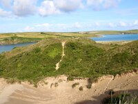 GB, Cornwall, Wadebridge, SW Coastpath, Rock 2, Saxifraga-Foto Fitis-Sytske Dijksen