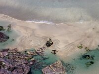 GB, Cornwall, St Minver, Rock 11, Saxifraga-Foto Fitis- Sytske Dijksen