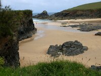 GB, Cornwall, St Minver, Rock 14, Saxifraga-Foto Fitis- Sytske Dijksen