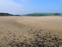 GB, Cornwall, St Minver, Rock 8, Saxifraga-Foto Fitis- Sytske Dijksen