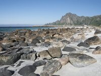 N, Nordland, Andoy, Bleik 13, Saxifraga-Willem van Kruijsbergen