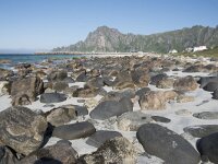 N, Nordland, Andoy, Bleik 15, Saxifraga-Willem van Kruijsbergen