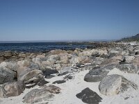 N, Nordland, Andoy, Bleik 7, Saxifraga-Willem van Kruijsbergen