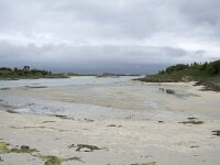 N, Troms, Tromso, Sommaroy 5, Saxifraga-Willem van Kruijsbergen