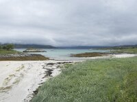 N, Troms, Tromso, Sommaroy 9, Saxifraga-Willem van Kruijsbergen