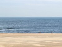 NL, Friesland, Vlieland, Strandhotel 1, Saxifraga-Bart Vastenhouw