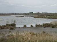 F, Bouches-du-Rhone, Saintes Maries de la Mer, Parc Ornithologique 7, Saxifraga-Willem van Kruijsbergen