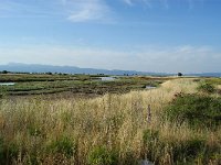 GR, Lesvos, Lesvos, Skala Kalloni flood plain 1, Saxifraga-Theo Verstrael