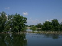 RO, Tulcea, Danube Delta 2, Saxifraga-Dirk Hilbers