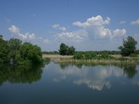RO, Tulcea, Danube Delta 5, Saxifraga-Dirk Hilbers