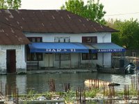 RO, Tulcea, Danube Delta 8, Saxifraga-Dirk Hilbers