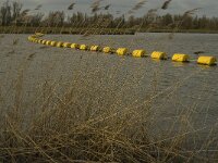 NL, Noord-Brabant, Altena, Polder Maltha 7, Saxifraga-Jan van der Straaten