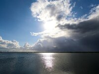 NL, Zuid-Holland, Voorne aan Zee, Westvoorne, Oostvoornse Meer 3, Saxifraga-Bart Vastenhouw.jpg