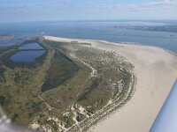 NL, Noord-Holland, Texel, Zuidpunt 7, Saxifraga-Foto Fitis-Sytske Dijksen