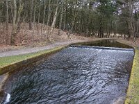 NL, Zuid-Holland, Noordwijk, Amsterdamse Waterleidingduinen 6, Saxifraga-Foto Fitis-Sytske Dijksen