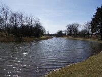 NL, Zuid-Holland, Noordwijk, Amsterdamse Waterleidingduinen 9, Saxifraga-Foto Fitis-Sytske Dijksen
