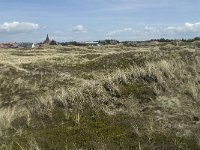 Nordjylland, Thisted, Norre Vorupor West 14, Saxifraga-Jan van der Straaten