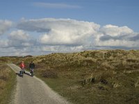 NL, Friesland, Terschelling, Griltjeplak 12, Saxifraga-Marijke Verhagen