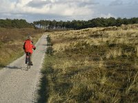 NL, Friesland, Terschelling, Griltjeplak 9, Saxifraga-Marijke Verhagen