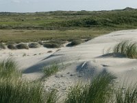 NL, Friesland, Terschelling, paal 16-20 1, Saxifraga-Hans Boll