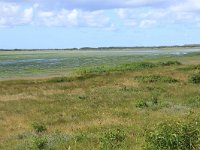 NL, Friesland, Vlieland, Dodemans Bol 5, Saxifraga-Hans Boll