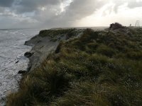 NL, Groningen, Eemsmond, Rottumeroog 5, Saxifraga-Mark Zekhuis