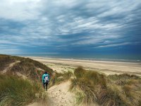 NL, Noord-Holland, Schagen, St Maartenszee 4, Saxifraga-Hans Dekker