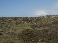 NL, Noord-Holland, Texel, Bollekamer 30, Saxifraga-Willem van Kruijsbergen