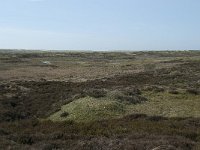 NL, Noord-Holland, Texel, Bollekamer 32, Saxifraga-Willem van Kruijsbergen