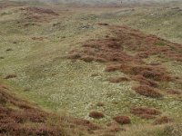 NL, Noord-Holland, Texel, Bollekamer 6, Foto Fitis-Sytske Dijksen