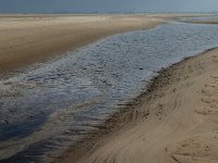 NL, Noord-Holland, Texel, De Hors 17, Saxifraga-Jan van der Straaten