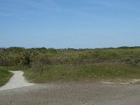 NL, Noord-Holland, Texel, De Horsmeertjes 15, Saxifraga-Willem van Kruijsbergen