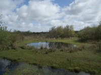 NL, Noord-Holland, Texel, De Muy 27, Saxifraga-Willem van Kruijsbergen