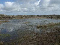 NL, Noord-Holland, Texel, De Muy 32, Saxifraga-Willem van Kruijsbergen