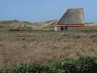 NL, Noord-Holland, Texel, De Muy 33, Saxifraga-Willem van Kruijsbergen