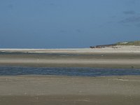 NL, Noord-Holland, Texel, De Slufter 60, Saxifraga-Willem van Kruijsbergen