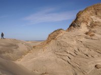 NL, Noord-Holland, Texel, Paal acht 1, Saxifraga-Foto Fitis-Sytske Dijksen